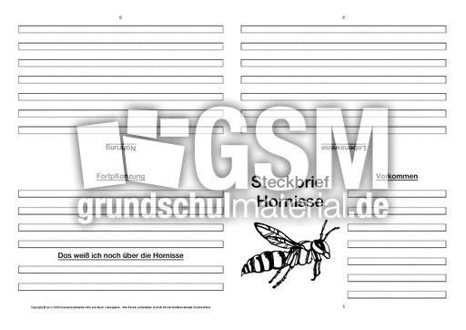 Hornisse-Faltbuch-vierseitig.pdf